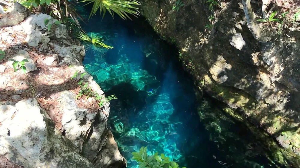 Cenote Jardin del Eden