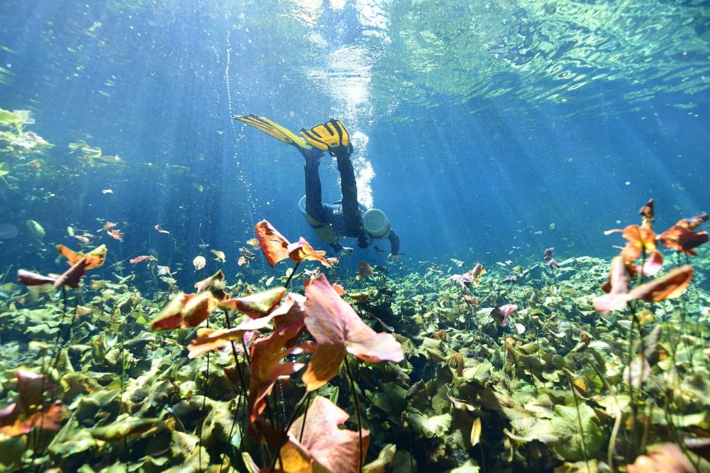 Cenote Nicte-Ha